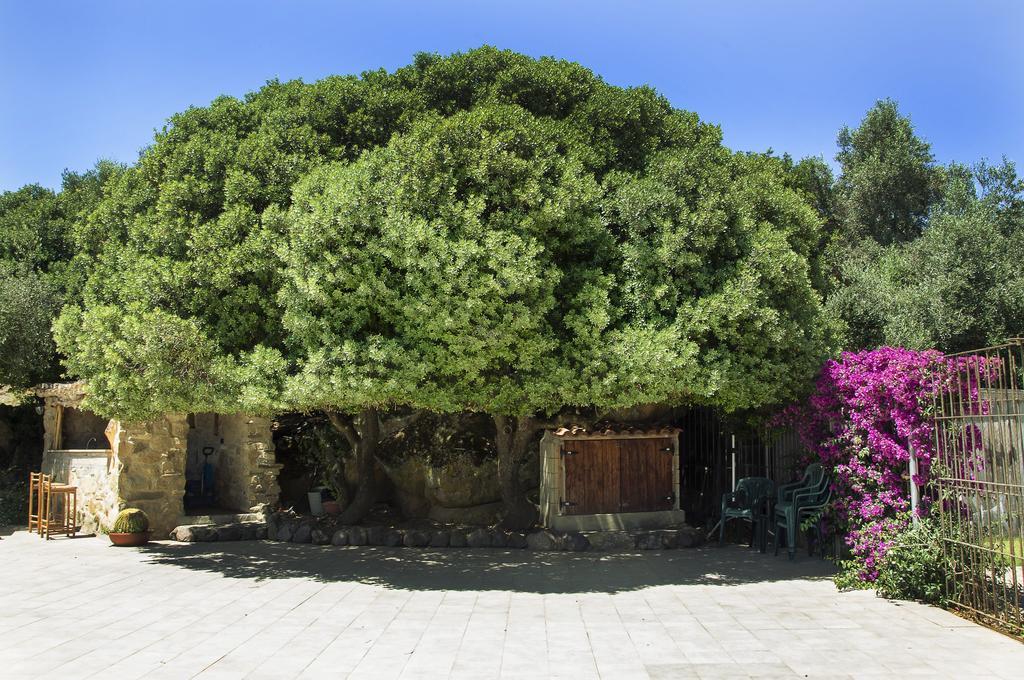 Agriturismo Il Paradiso Iglesias Bagian luar foto