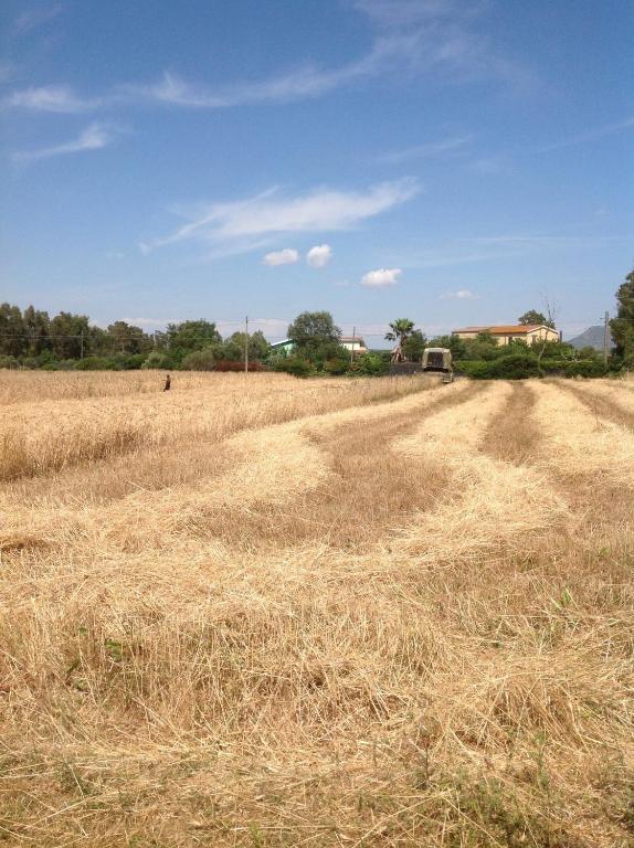 Agriturismo Il Paradiso Iglesias Bagian luar foto