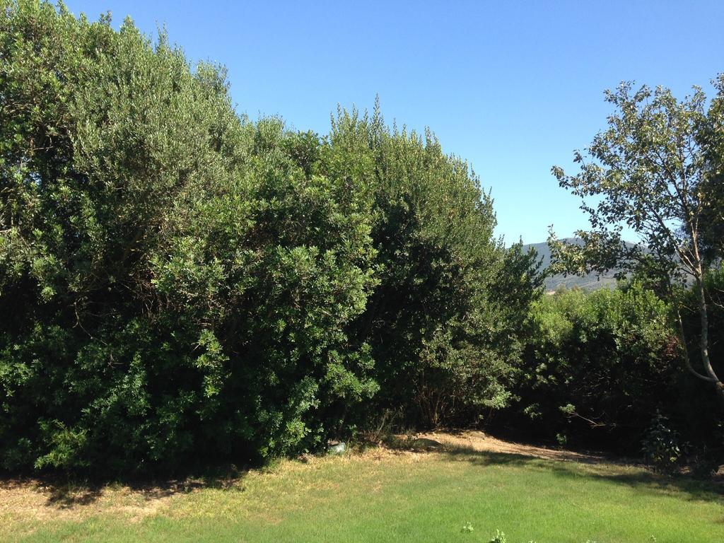 Agriturismo Il Paradiso Iglesias Bagian luar foto