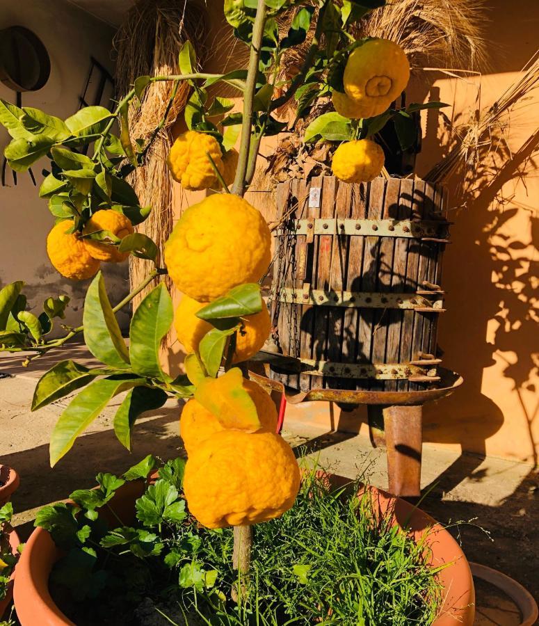 Agriturismo Il Paradiso Iglesias Bagian luar foto